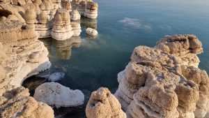 מפרץ עם פטריות מלח