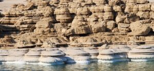 פטריות מלח - 2025