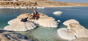 פטריות מלח - סתיו 2025